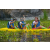 Team 36 / Raid l'Arbre Vert Amazones Bali - Triathlon