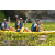 Team 11 / Raid l'Arbre Vert Amazones Bali - Triathlon