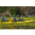 Team 60 / Raid l'Arbre Vert Amazones Bali - Triathlon