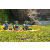 Team 53 / Raid l'Arbre Vert Amazones Bali - Triathlon