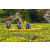 Team 24 / Raid l'Arbre Vert Amazones Bali - Triathlon