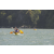 Team 65 / Raid l'Arbre Vert Amazones Bali - Triathlon