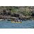 Team 71 / Raid l'Arbre Vert Amazones Bali - Triathlon