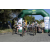 Team 63 / Raid l'Arbre Vert Amazones Bali - Triathlon