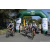 Team 39 / Raid l'Arbre Vert Amazones Bali - Triathlon