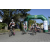 Team 22 / Raid l'Arbre Vert Amazones Bali - Triathlon