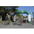 Team 69 / Raid l'Arbre Vert Amazones Bali - Triathlon