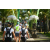 Team 14 / Raid l'Arbre Vert Amazones Bali - Chasse au Tr&eacute;sor