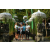 Team 54 / Raid l'Arbre Vert Amazones Bali - Chasse au Tr&eacute;sor