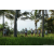 Team 66 / Raid l'Arbre Vert Amazones Bali - Chasse au Tr&eacute;sor