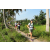Team 22 / Raid l'Arbre Vert Amazones Bali - Chasse au Tr&eacute;sor