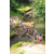 Team 17 / Raid l'Arbre Vert Amazones Bali - Chasse au Tr&eacute;sor