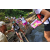 Team 51 / Raid l'Arbre Vert Amazones Bali - Chasse au Tr&eacute;sor