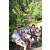 Team 25 / Raid l'Arbre Vert Amazones Bali - Chasse au Tr&eacute;sor