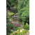 Raid l'Arbre Vert Amazones Bali - Chasse au TrÃ©sor