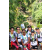 Team 05 / Raid l'Arbre Vert Amazones Bali - Chasse au Tr&eacute;sor