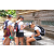Team 09 / Raid l'Arbre Vert Amazones Bali - Chasse au Tr&eacute;sor