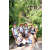 Team 66 / Raid l'Arbre Vert Amazones Bali - Chasse au Tr&eacute;sor