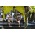 Team 32 / Raid l'Arbre Vert Amazones Bali - Chasse au Tr&eacute;sor