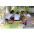 Team 18 / Raid l'Arbre Vert Amazones Bali - Chasse au Tr&eacute;sor