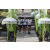 Team 40 / Raid l'Arbre Vert Amazones Bali - Chasse au Tr&eacute;sor