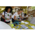 Team 56 / Raid l'Arbre Vert Amazones Bali - Chasse au Tr&eacute;sor