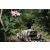 Team 63 / Raid l'Arbre Vert Amazones Bali - Chasse au Tr&eacute;sor