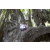 Team 14 / Raid l'Arbre Vert Amazones Bali - Chasse au Tr&eacute;sor