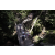 Team 51 / Raid l'Arbre Vert Amazones Bali - Chasse au Tr&eacute;sor