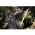 Team 70 / Raid l'Arbre Vert Amazones Bali - Chasse au Tr&eacute;sor