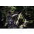 Team 50 / Raid l'Arbre Vert Amazones Bali - Chasse au Tr&eacute;sor
