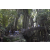 Team 70 / Raid l'Arbre Vert Amazones Bali - Chasse au Tr&eacute;sor