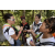 Team 28 / Raid l'Arbre Vert Amazones Bali - Chasse au Tr&eacute;sor