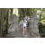 Team 62 / Raid l'Arbre Vert Amazones Bali - Chasse au Tr&eacute;sor