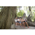 Team 66 / Raid l'Arbre Vert Amazones Bali - Chasse au Tr&eacute;sor