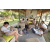 Team 52 / Raid l'Arbre Vert Amazones Bali - Chasse au Tr&eacute;sor