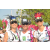 Team 43 / Raid l'Arbre Vert Amazones Bali - Cano&euml;