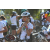 Team 42 / Raid l'Arbre Vert Amazones Bali - VTT