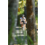Team 15 / Raid l'Arbre Vert Amazones Bali - VTT