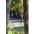 Team 01 / Raid l'Arbre Vert Amazones Bali - VTT