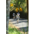 Team 42 / Raid l'Arbre Vert Amazones Bali - VTT