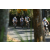 Team 63 / Raid l'Arbre Vert Amazones Bali - VTT