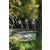 Team 29 / Raid l'Arbre Vert Amazones Bali - VTT
