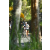 Team 45 / Raid l'Arbre Vert Amazones Bali - VTT