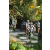 Team 08 / Raid l'Arbre Vert Amazones Bali - VTT