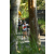 Team 09 / Raid l'Arbre Vert Amazones Bali - VTT