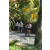 Team 70 / Raid l'Arbre Vert Amazones Bali - VTT