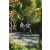 Team 03 / Raid l'Arbre Vert Amazones Bali - VTT
