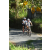 Team 20 / Raid l'Arbre Vert Amazones Bali - VTT
