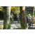 Team 32 / Raid l'Arbre Vert Amazones Bali - VTT